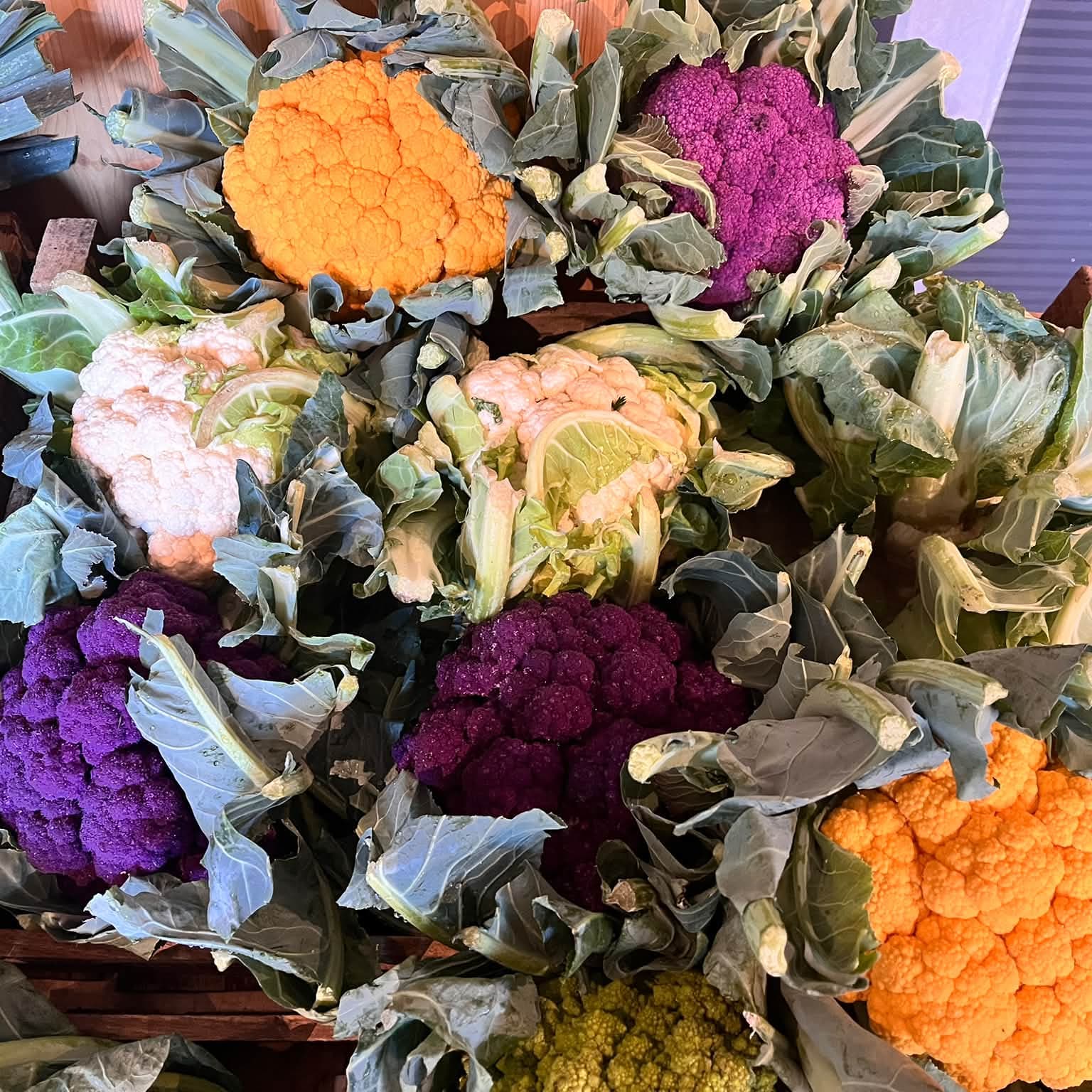 Choux-fleurs blancs, violets et orange sur l'étal du magasin